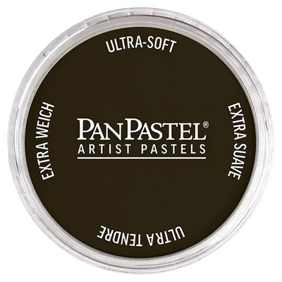 PanPastel pastel uscat în recipient - 780.1, raw umber extra dark
