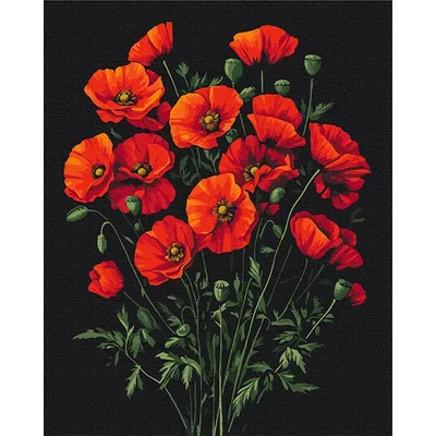 Pictură pe numere, pe pânză întinsă, 40x50 cm - Farmecul macilor
