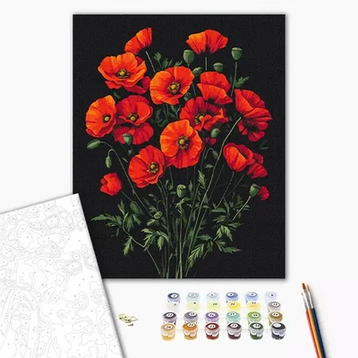 Pictură pe numere, pe pânză întinsă, 40x50 cm - Farmecul macilor