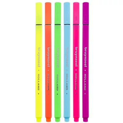 Bruynzeel Fineliner set pâslă cu ac - set de 6, culori neon