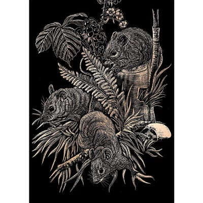 Set tablou gravură cu stilou gravură , 20x25 cm - Voli de câmp, cupru
