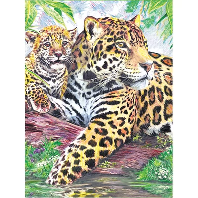 Set de colorat după numere, creioane colorate+ascuțitoare, 22x30 cm - Jaguar