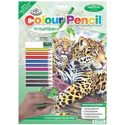 Set de colorat după numere, creioane colorate+ascuțitoare, 22x30 cm - Jaguar