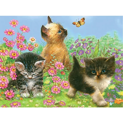 Set de colorat după numere, creioane colorate+ascuțitoare, 22x30 cm - Pisici