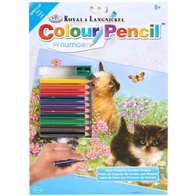 Set de colorat după numere, creioane colorate+ascuțitoare, 22x30 cm - Pisici