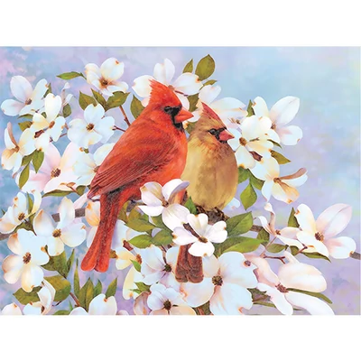 Set de colorat după numere, creioane colorate+ascuțitoare, 22x30 cm - Măcăleandre