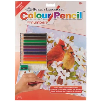 Set de colorat după numere, creioane colorate+ascuțitoare, 22x30 cm - Măcăleandre