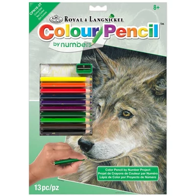 Set de colorat după numere, creioane colorate+ascuțitoare, 22x30 cm - Lup