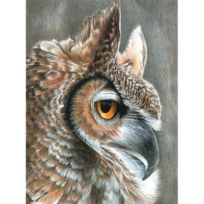 Set de colorat după numere, creioane colorate+ascuțitoare, 22x30 cm - Bufniță