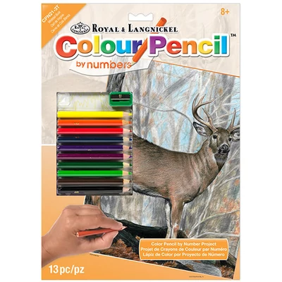 Set de colorat după numere, creioane colorate+ascuțitoare, 22x30 cm - animale