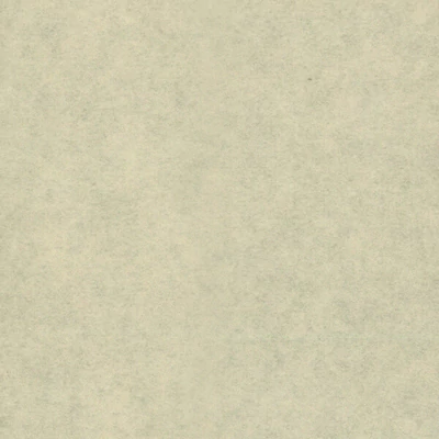Hârtie mătase în pachet, 50x76 cm, 21 g, 6 buc - bej