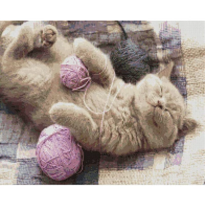 Pictură cu diamante , pe pânză întinsă , 40x50 cm - Pisica cu scaie