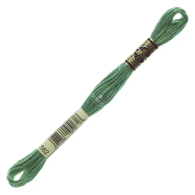 Ață pentru broderie DMC Mouliné (împărțit, 6 fire), 8 m - 207-562, Jade - MED