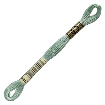 Ață pentru broderie DMC Mouliné (împărțit, 6 fire), 8 m - 209-3817, Celadon Green - LT