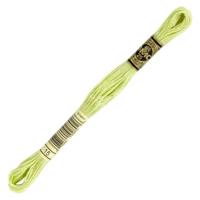 Ață pentru broderie DMC Mouliné (împărțit, 6 fire), 8 m - 246-15, Apple Green