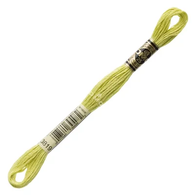 Ață pentru broderie DMC Mouliné (împărțit, 6 fire), 8 m - 273-3819, Moss Green - LT