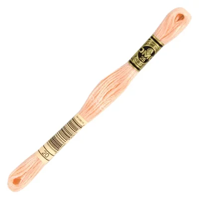 Ață pentru broderie DMC Mouliné (împărțit, 6 fire), 8 m - 401-20, Shrimp