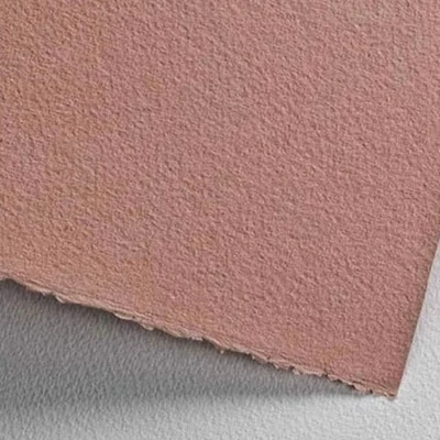 Hârtie de desen și pictură Fabriano Cromia, 220 g, 50x65 cm - 07, pale brown