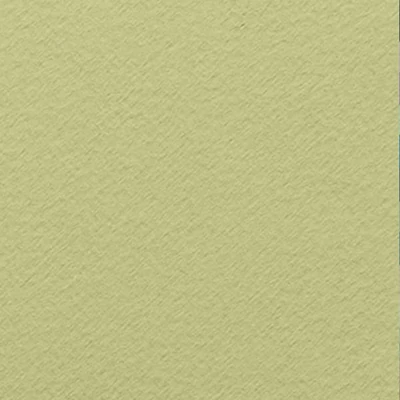 Hârtie colorată de desen Fabriano Tiziano , 50x65 cm - 11, verduzzo