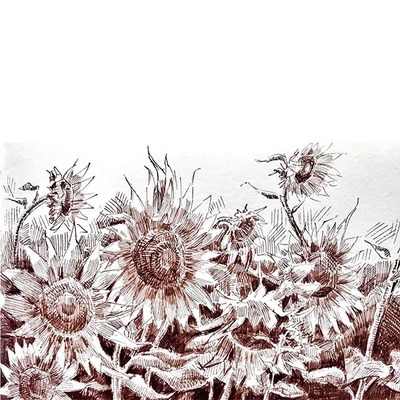 Fineliner liner, sepia - 0,3 mm