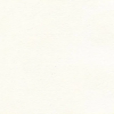 Hârtie de desen Hahnemühle tip Ingres, 120 g, 50x70 cm, white