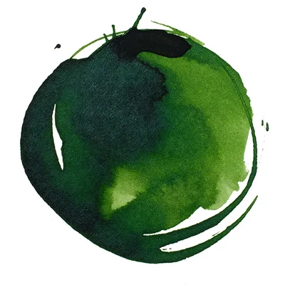 Liquitex cerneală acrilică, 30 ml - 315, sap green permanent