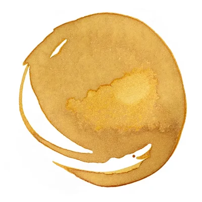 Liquitex cerneală acrilică, 30 ml - 332, transparent raw sienna