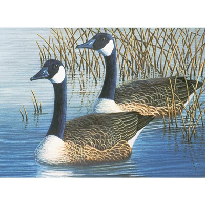Set de colorat după numere, culori acrilice+pensulă, 29x39 cm - Gâște
