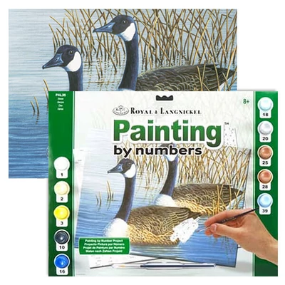Set de colorat după numere, culori acrilice+pensulă, 29x39 cm - Gâște