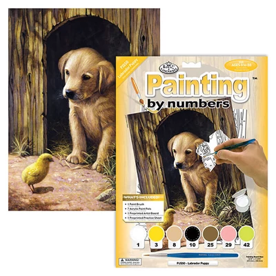 Set de colorat după numere, culori acrilice+pensulă, 22x30 cm - catelus Labrador