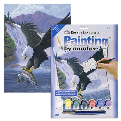 Set de colorat după numere, culori acrilice+pensulă, 22x30 cm - Vultur de vanatoare