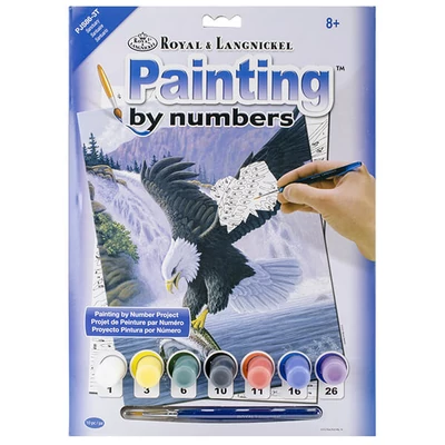 Set de colorat după numere, culori acrilice+pensulă, 22x30 cm - Vultur de vanatoare