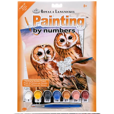 Set de colorat după numere, culori acrilice+pensulă, 22x30 cm - Bufnite