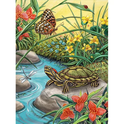 Set de colorat după numere, culori acrilice+pensulă, 22x30 cm - Turtle