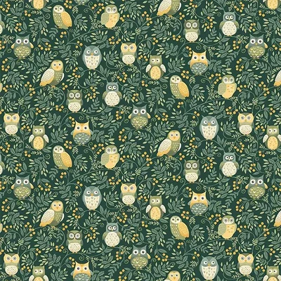 Material patchwork - Makower - Hello Autumn Owls Green 099/G