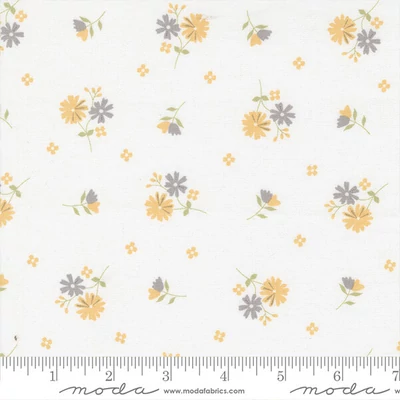 Material patchwork  - Moda - Buttercup and Slate by Corey Yoder 29153-11