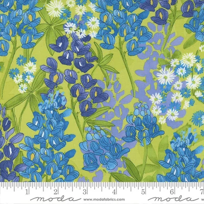 Material patchwork  - Moda - Wild Blossom by Robin Pickens 48732-13