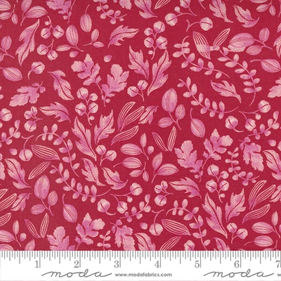 Material patchwork  - Moda - Wild Blossom by Robin Pickens 48736-19