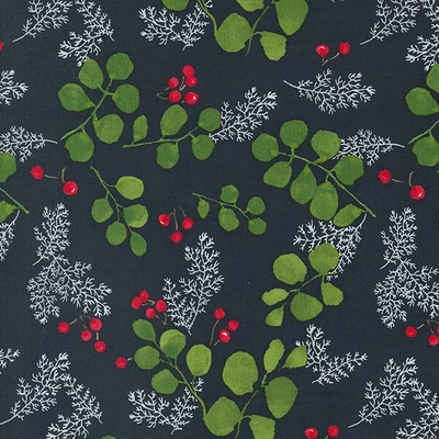 Material Patchwork - Moda - Winterly de Robin Pickens 48764-19