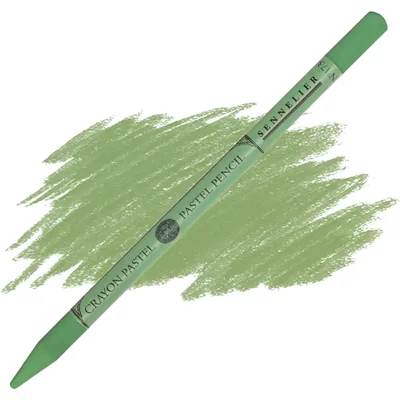 Creioane pastel Sennelier - 173, moss grey green