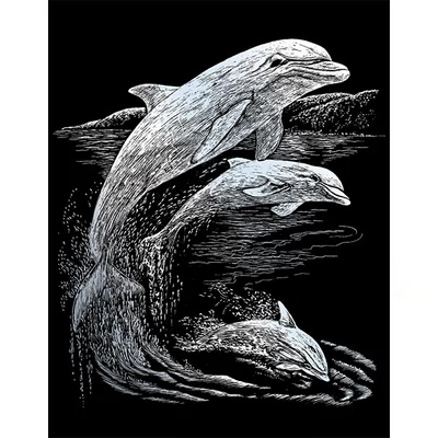 Set tablou gravură cu stilou gravură , 20x25 cm - Delfini, argintiu
