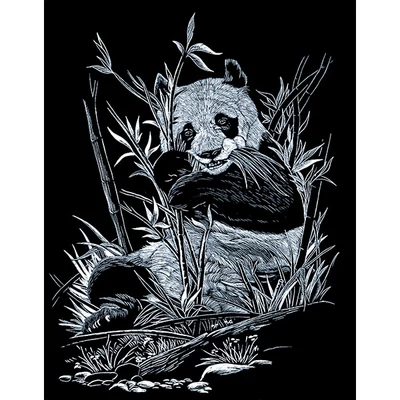 Set tablou gravură cu stilou gravură , 20x25 cm - Panda, argintiu