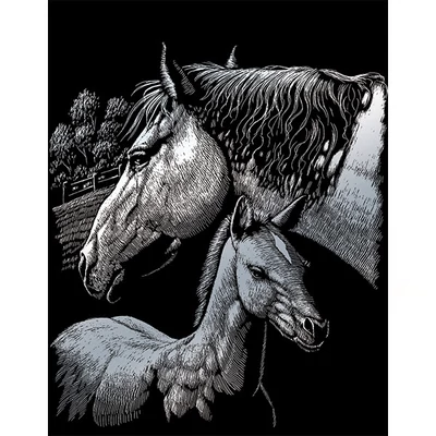 Set tablou gravură cu stilou gravură , 20x25 cm - Cai, argintiu