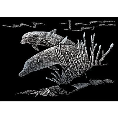 Set tablou gravură cu stilou gravură , 12x18 cm - Delfini, argintiu