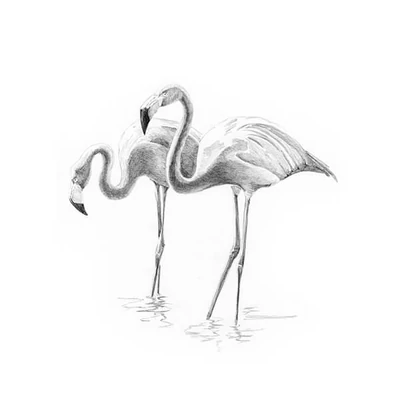 Mini set de desen grafic cu unelte, 12x18 cm - Flamingos