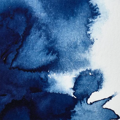 Vopsea de acuarelă Winsor&amp;Newton Professional, in recipient  1/2 - 538, Prussian blue