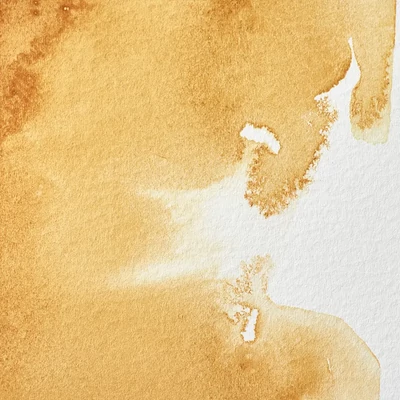 Vopsea de acuarelă Winsor&amp;Newton Professional, in recipient  1/2 - 552, raw sienna