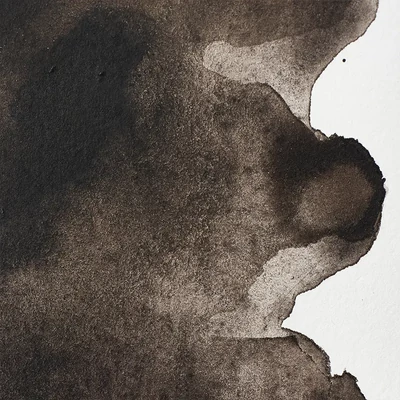 Vopsea de acuarelă Winsor&amp;Newton Professional, in recipient  1/2 - 609, sepia