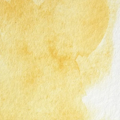 Vopsea de acuarelă Winsor&amp;Newton Professional, in recipient  1/2 - 649, Turner's yellow