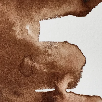 Vopsea de acuarelă Winsor&amp;Newton Professional, in recipient  1/2 - 676, Vandyke brown